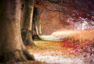 ​儿童谜语大全3到6岁经典的2042个