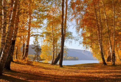 ​谜语大全最难2037个