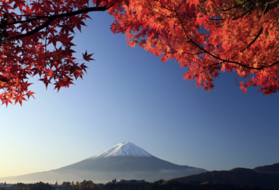 ​谜语大全经典2046个