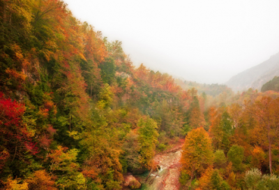 ​儿童谜语大全3到6岁合集2057个