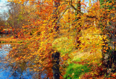 ​谜语大全儿童7到8岁沙雕的2045个