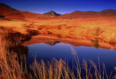 ​儿童谜语沙雕的2037个