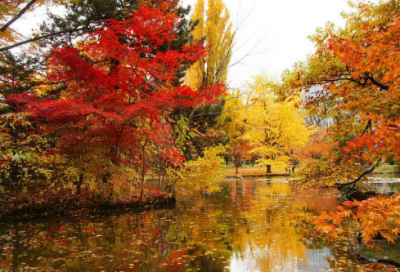 ​儿童谜语含答案2041个