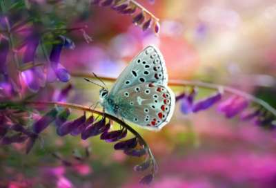 ​谜语大全儿童7到8岁最难的2042个