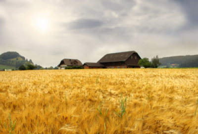 ​猜字谜语大全及答案合集2028个