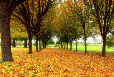 ​猜字谜语大全及答案幼儿2035个