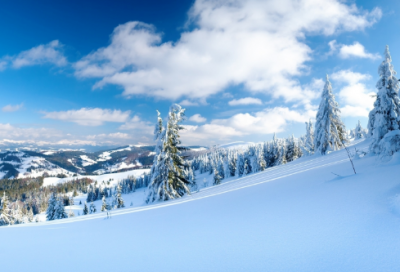 ​长情侣网名700组