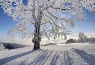 ​符号网名(精选1250个)