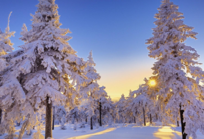 ​完美世界名字1200个