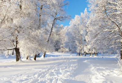 ​网络游戏情侣名900对