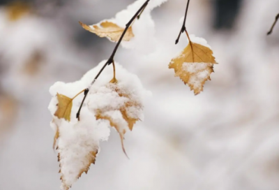 ​游戏情侣名(精选800对)