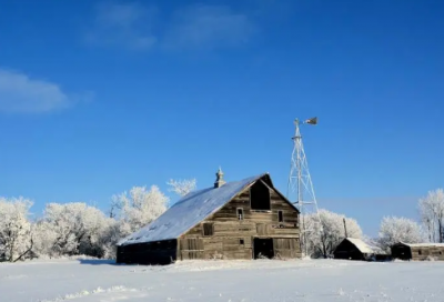 ​长的网名800个