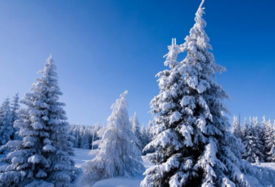 ​网名三个字高冷1380个