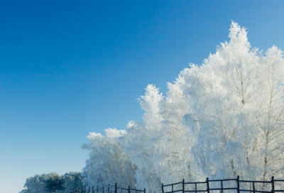 ​独特网名1000个