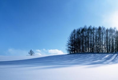 ​吃鸡的搞笑id1000个