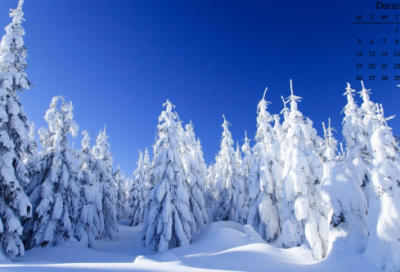 ​2020最火英文网名1000个