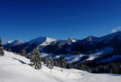 ​炫舞情侣网名一对555对