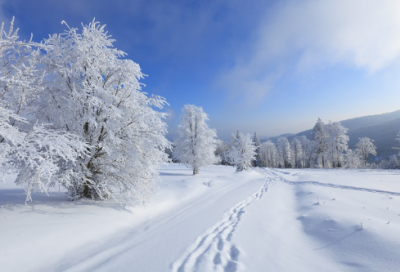 ​炫舞情侣名字650对