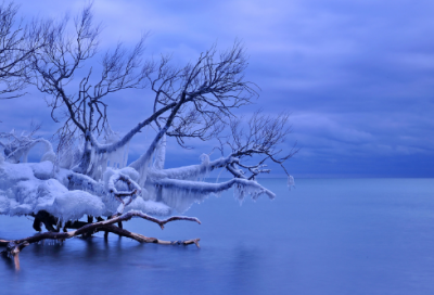 ​女生网名三个字高冷1200个