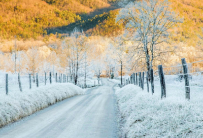 ​甜蜜网名600个
