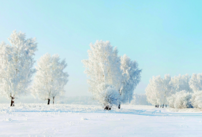 ​姐妹网名600对