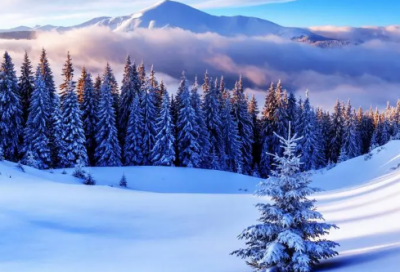 ​qq霸气超拽网名女孩800个