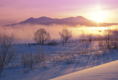 ​好听的日文名750个