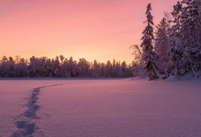 ​诗句网名800例
