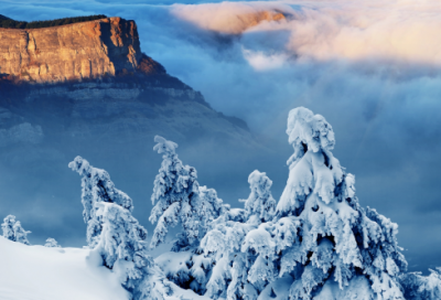 ​搞笑的网名800个