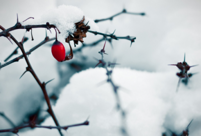 ​有内涵的情侣网名500组