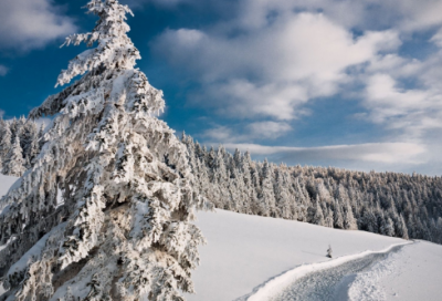 ​英语游戏名字900个