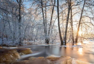 ​淡雅微信名800个