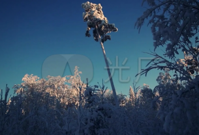 ​qq飞车情侣昵称600个