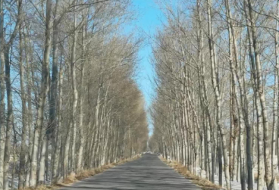 ​情侣qq呢称(精选500组)