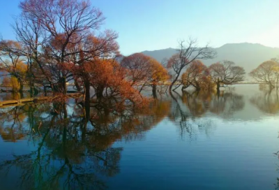 ​情侣游戏名字600对