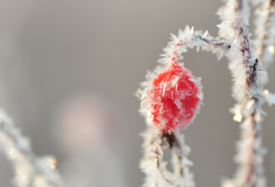 ​独一无二情侣网名550个