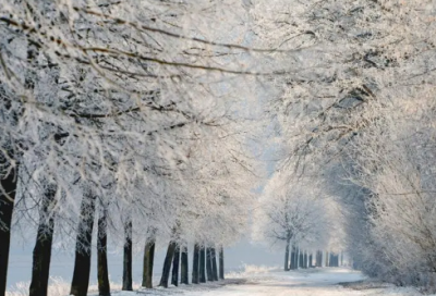 ​劲舞团情侣名字500个