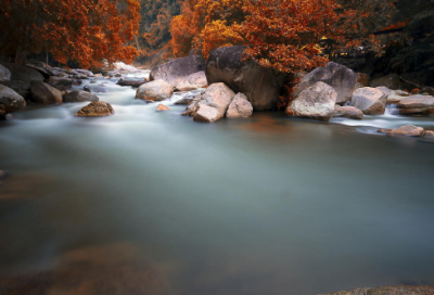 ​朋友生日祝福语 女性简短唯美