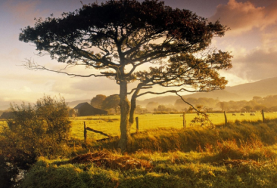 ​妈妈60岁生日祝福语 简短陪伴
