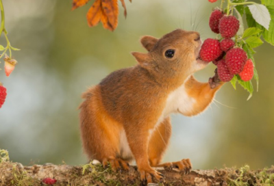 ​18岁生日祝福语简短独特激励语