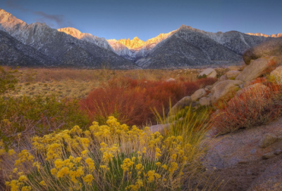 ​给亲弟的生日祝福语发朋友圈