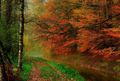 ​生日同一天的祝福语适合发朋友圈的