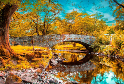 ​给十岁女儿的生日祝福语