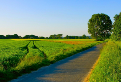 ​很感人的生日祝福语