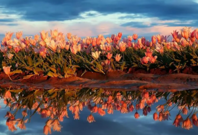 ​给十岁孩子的生日祝福语及未来的期望