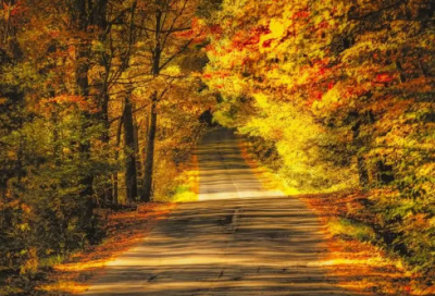 ​儿子生日祝福语朋友圈