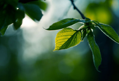 ​65岁生日的祝福语