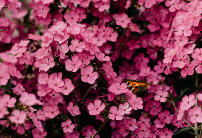 ​30岁生日祝福语