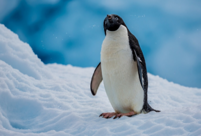 ​最经典的生日祝福短语祝福自己