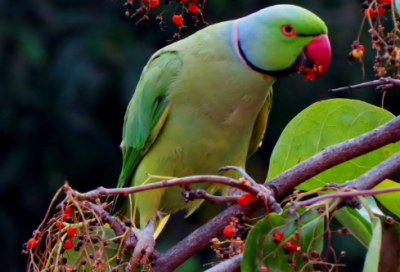 ​祝福闺蜜生日快乐的话暖心